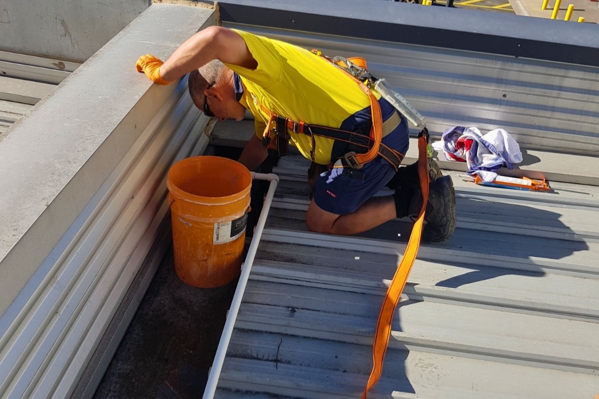 Plumber cleaning roof gutter in Albury Wodonga with safety harness and bucket removing debris from downpipe